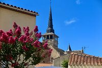 church tower with blossom