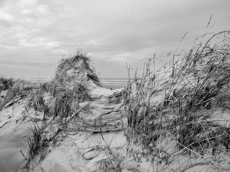 Dünen nach dem Sturm von Jan Huneman