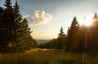The Harz