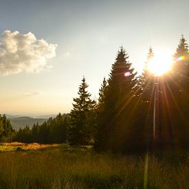 De Harz het groene hart van Duitsland van Jeroen Smit