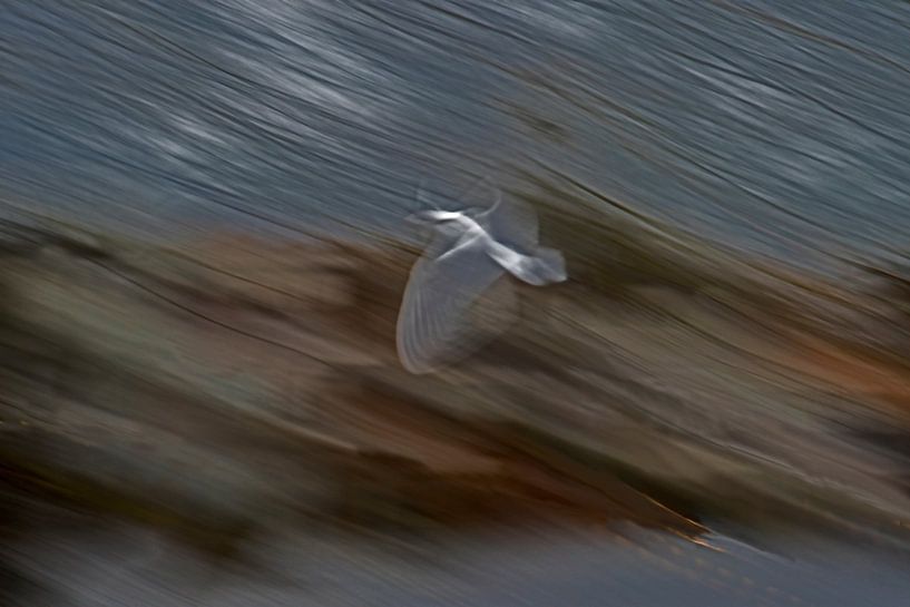 Vogelvlucht van Ingrid Stoffels
