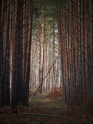 Licht aan het einde van het gangpad