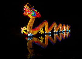 Reflection Dragon (Draak) van Brian Morgan