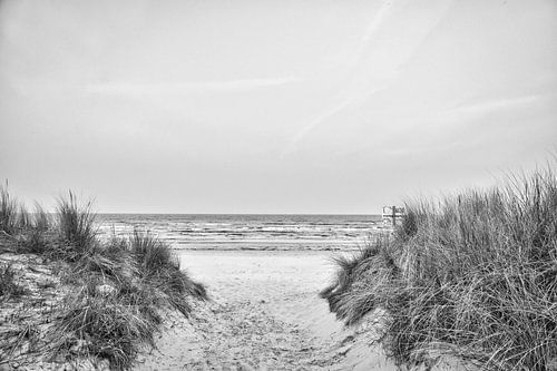 Passage sur la plage d'Usedom avec vue sur la mer Baltique en noir et blanc