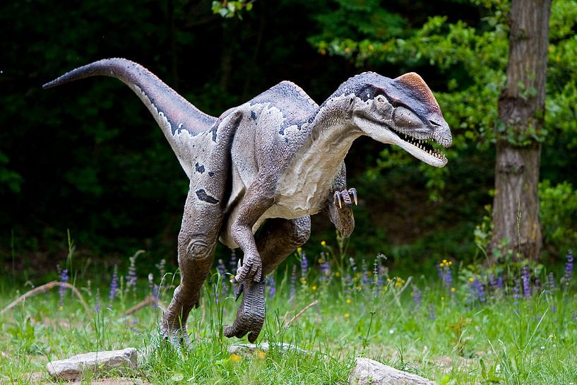 Dinosourus van Guido Akster