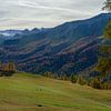 Panorama of the alms and larch forests above Lü, Graubünden by Sean Vos