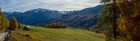 Panorama van de almen en lariksbossen boven Lü, Graubünden