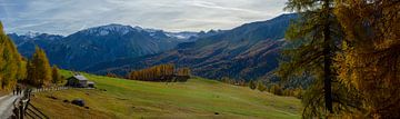 Panorama van de almen en lariksbossen boven Lü, Graubünden van Sean Vos
