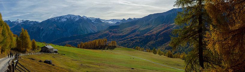 Panorama von Alpweiden und Lärchenwäldern oberhalb von Lü, Graubünden von Sean Vos