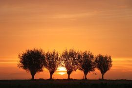 Zonsopkomst by t de bruin