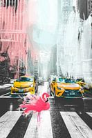 Crazy Street 02 - Flamingos - New York City