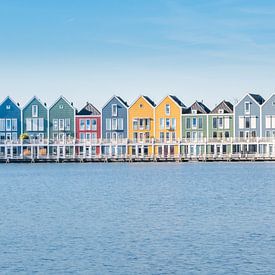 Huizen aan de Rietplas in Houten van Muriel Dorland