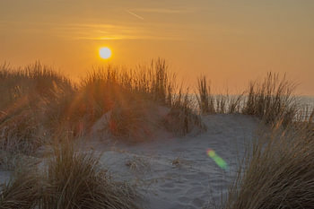 Coucher de soleil dans les dunes