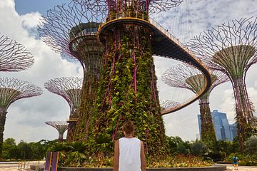 Gardens by the bay: looking up by Jolene van den Berg