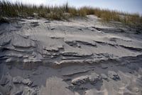 Duin tijdens een beklimming op Langeoog 2024
