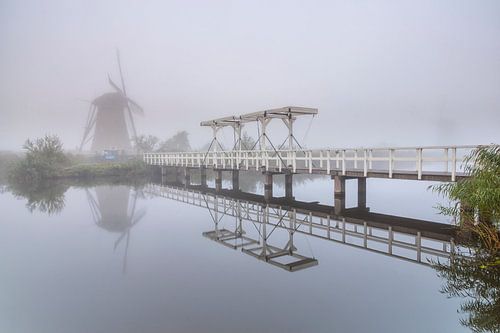 Mistig Kinderdijk