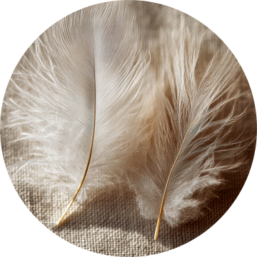 Pluim op linnen structuur