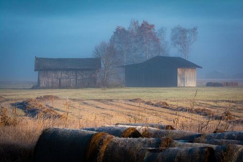Idylle à la campagne bavaroise
