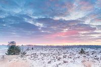 Magische zonsopkomst Kampina