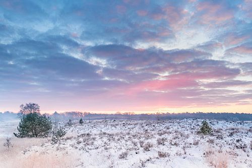 Magical sunrise Kampina