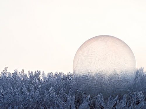 Frozen art #7 by Lex Schulte