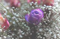 Violet Rose in Love von Markus Wegner Miniaturansicht
