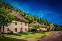 Milton Abbas, England