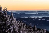 Der Schwarzwald wenige Augenblicke nach Sonnenuntergang.