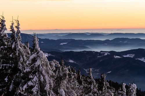 La Forêt Noire quelques instants après le coucher du soleil.
