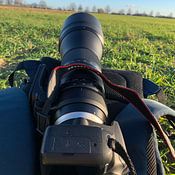 Manu Peeters Profile picture