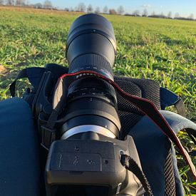 Manu Peeters Profilfoto