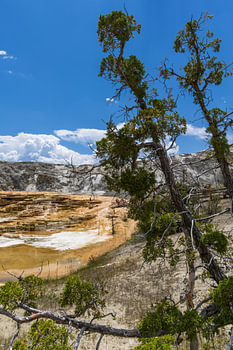Yellowstone - Mammoth Hot Springs