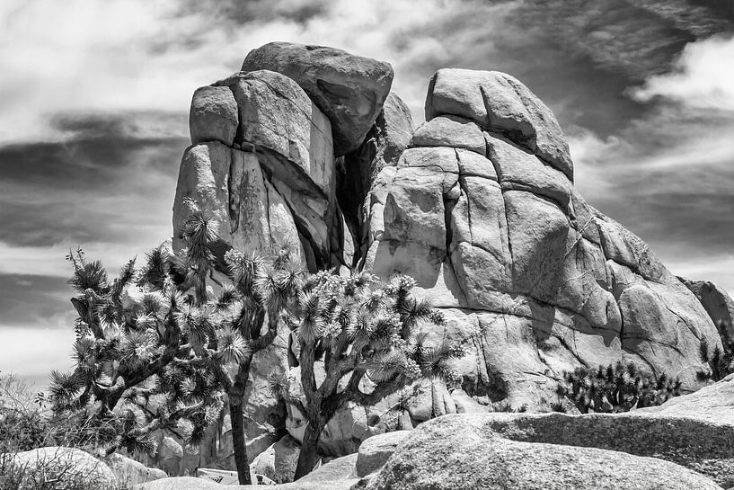 Monzogranit-Formation im Joshua Tree National Park von Melanie Viola