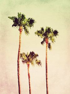 PASTEL PALM TREES no2 von Pia Schneider