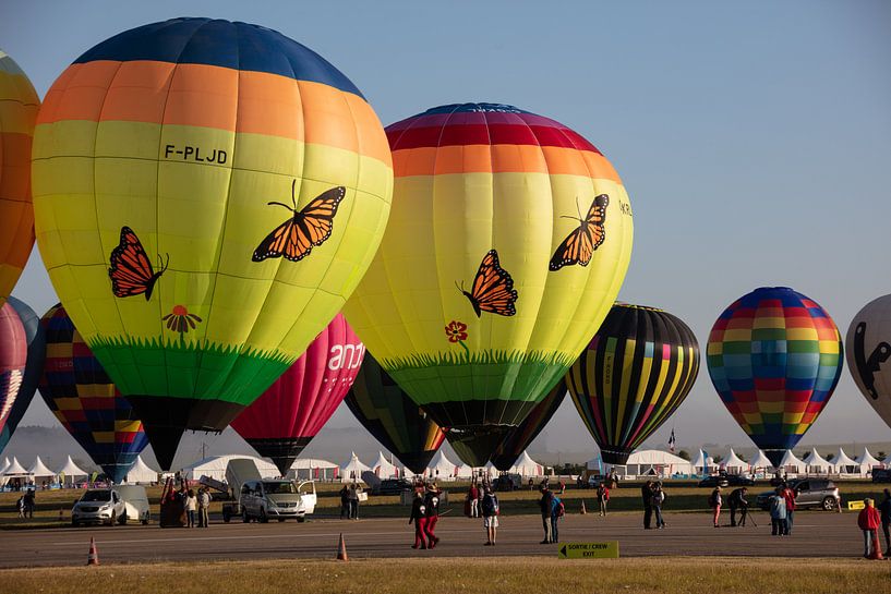 Hot Air Balloon Festival by Cornelius Fontaine