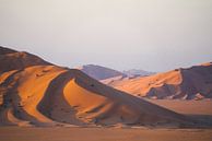 Woestijn: Zandduinen in Oman van The Book of Wandering thumbnail