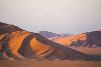Sand dunes in the Empty Quarter