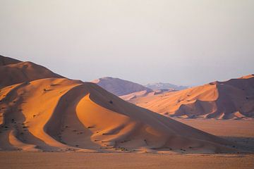 Woestijn: Zandduinen in Oman