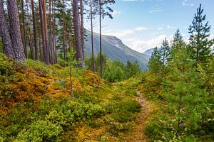 Landschap Noowegen sur Pim Leijen