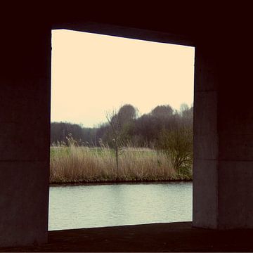 Viadvctcanvas Rvmmvlvs