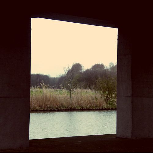 Viadvctcanvas Rvmmvlvs