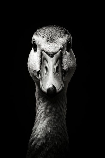 Gans van Poster Art Shop