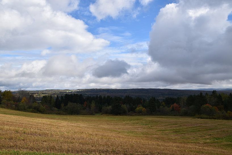 Ein Feld nach der Herbsternte von Claude Laprise