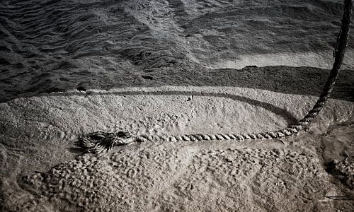 Die Schwalben von Paal