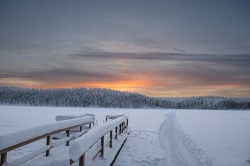 Winters landschap van Fins Lapland van Ruud Bakker
