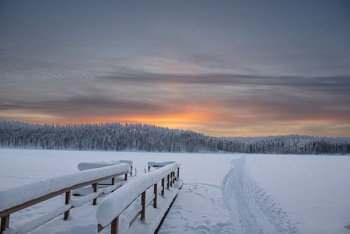 Paysage d'hiver de la Laponie finlandaise