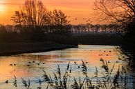 Kreek zonsopkomst van Willian Goedhart thumbnail