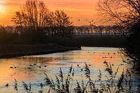 Kreek zonsopkomst