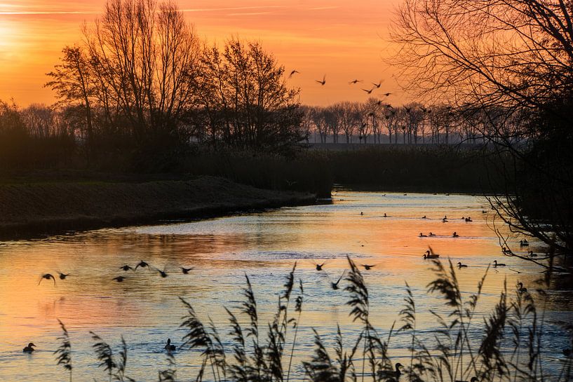Kreek zonsopkomst van Willian Goedhart