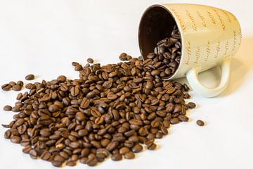 Koffie bonen, uitgestrooid van Cees van Vliet